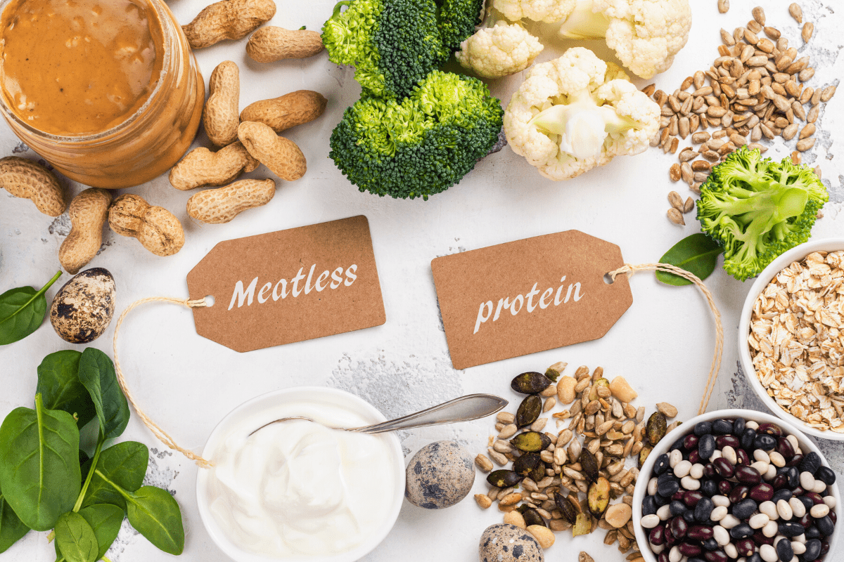 Meatless Protein