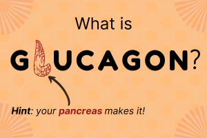 What is Glucagon?