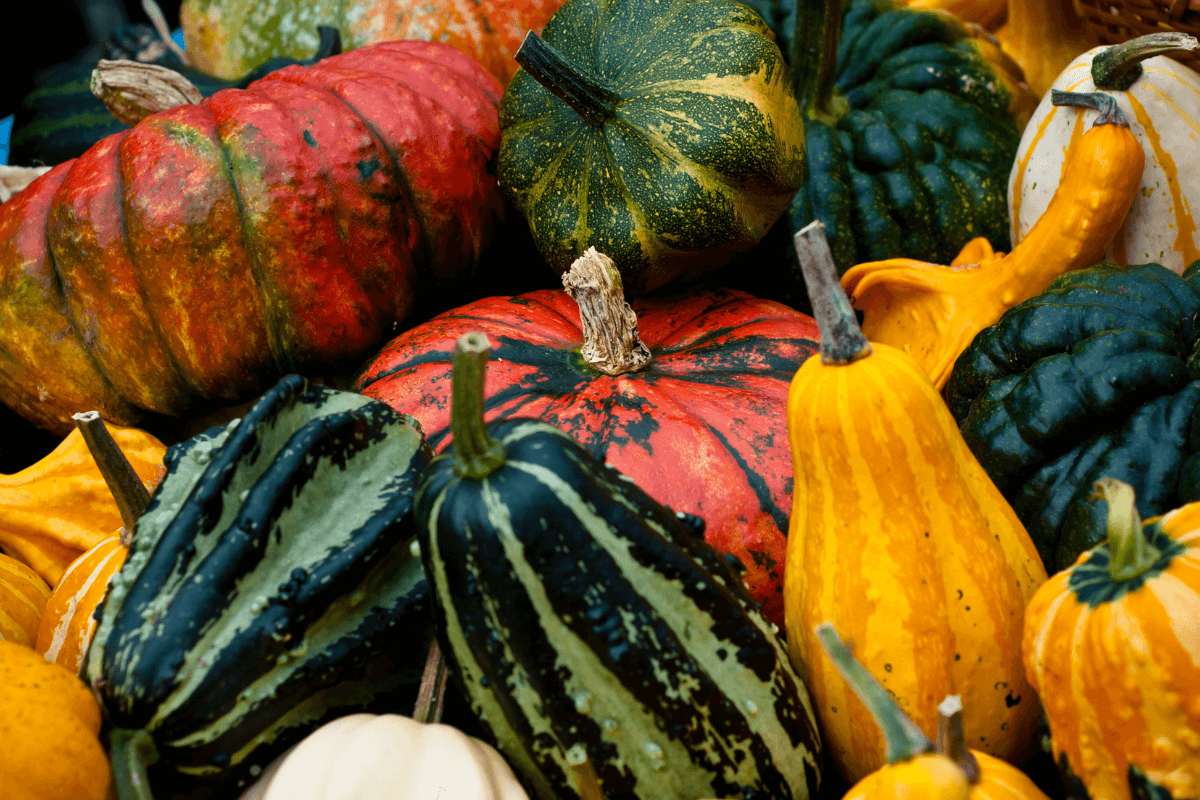 Fresh Fall Foods for your Diabetes