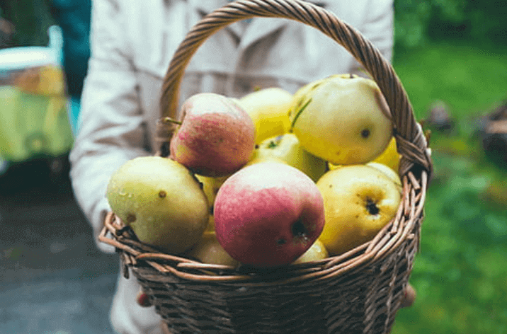 apple_picking