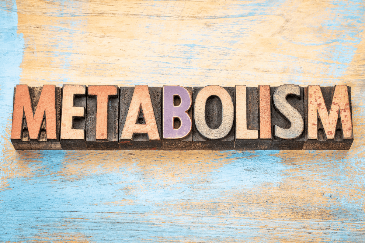 5 Easy Diet Changes for a Faster Metabolism