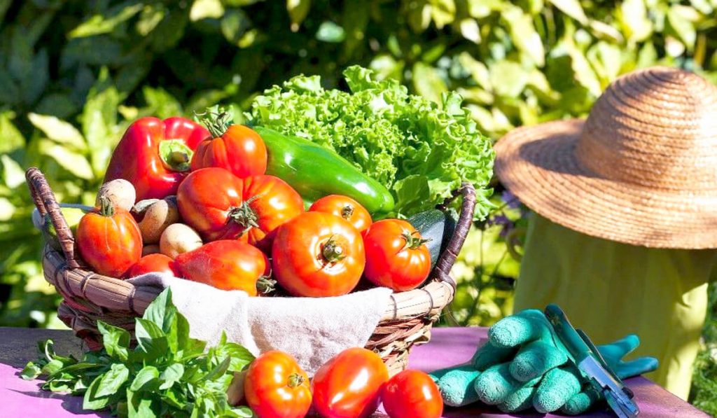 seasonal-veggies