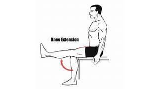 leg-extensions