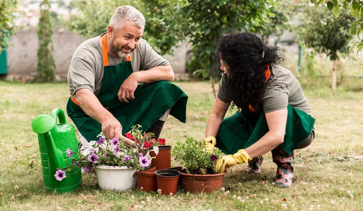 gardening